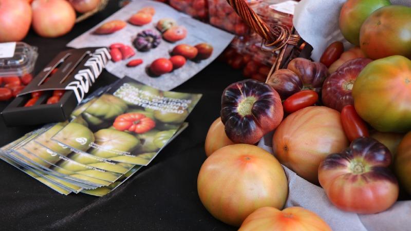 XII Feria Gastronómica del Tomate de El Perelló
